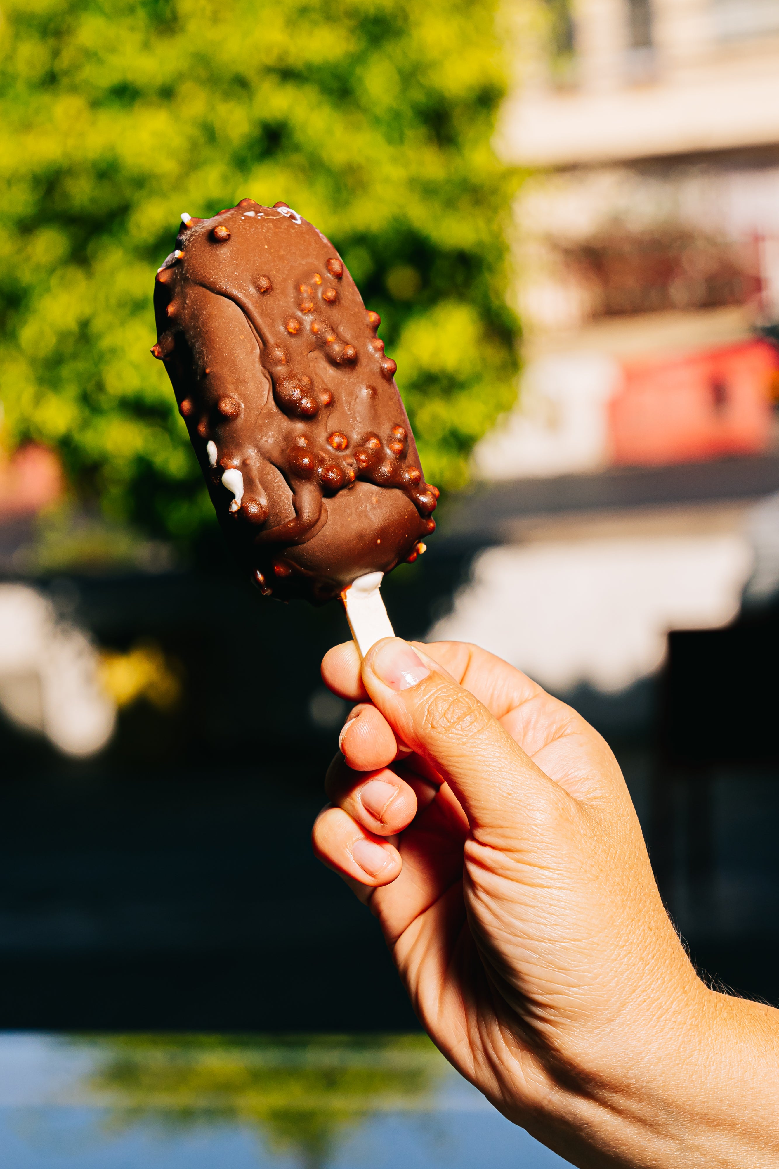 PALETA PREMIUM VAINILLA