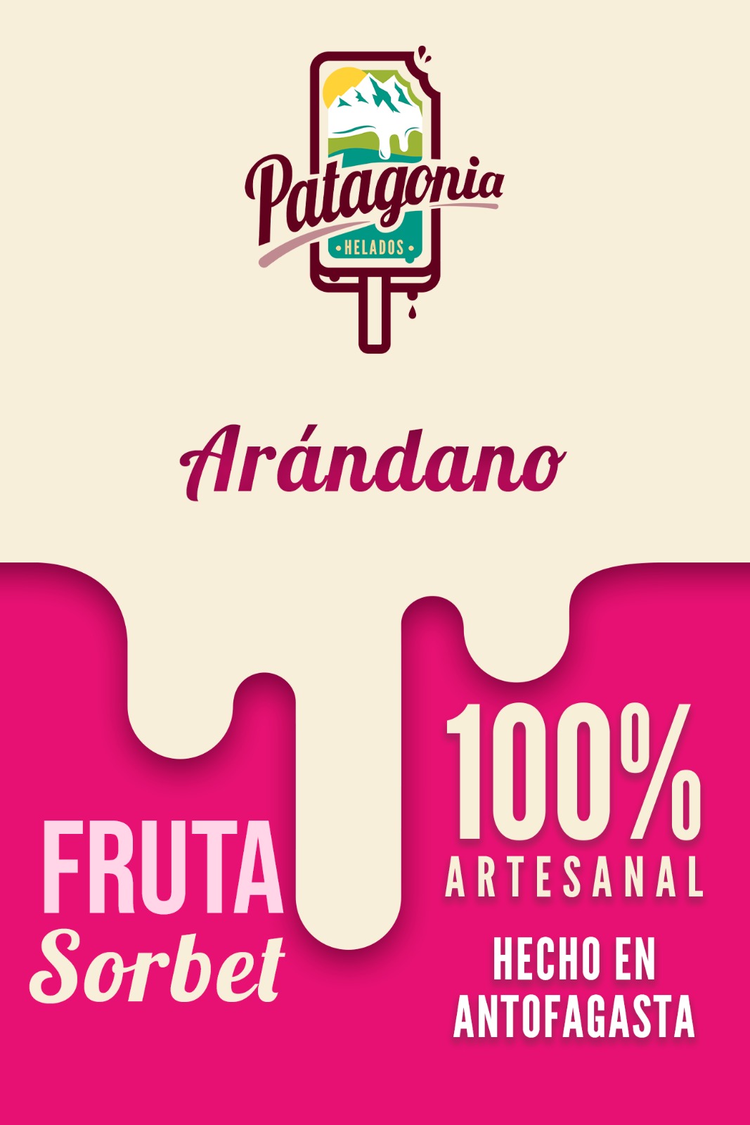 Paleta Arándanos