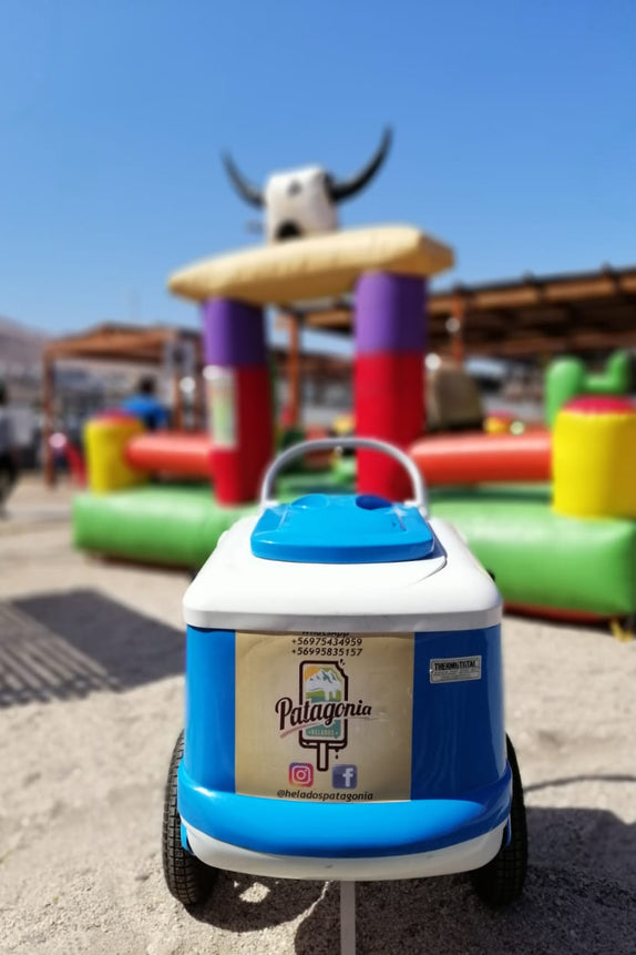 CARRITO 100 PALETAS