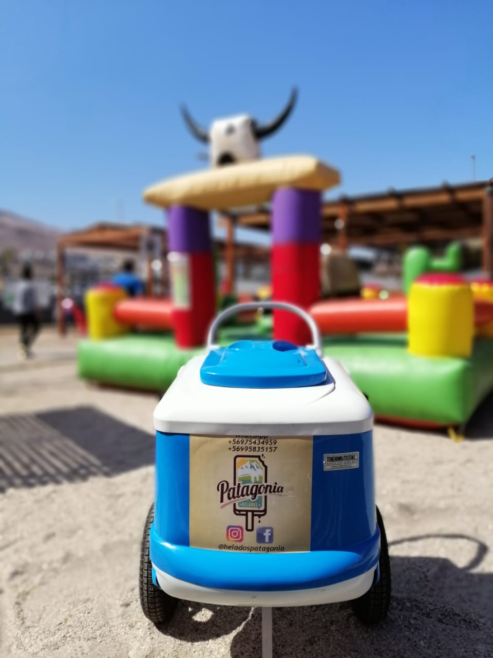 CARRITO 100 PALETAS