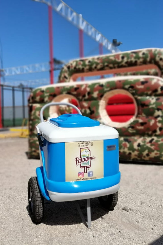 CARRITO 100 PALETAS