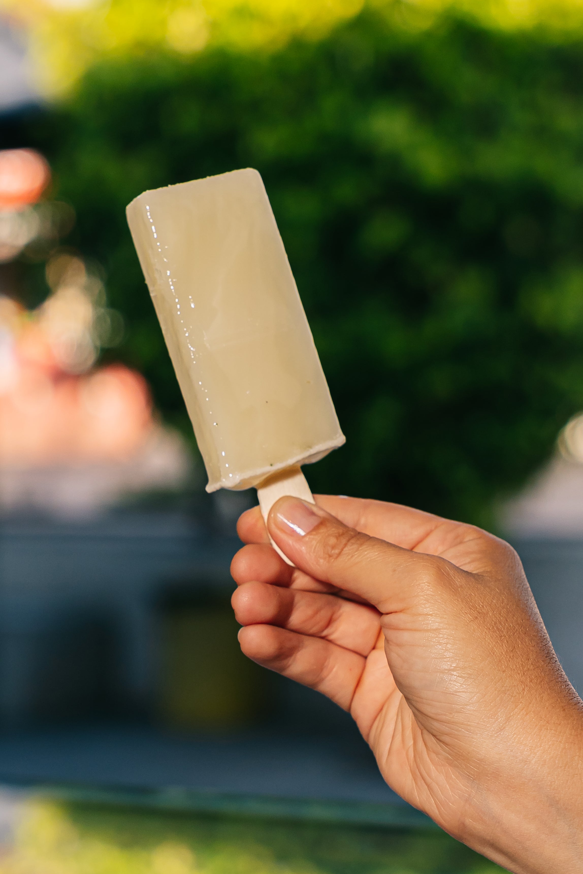 Paleta Limón Hierbabuena
