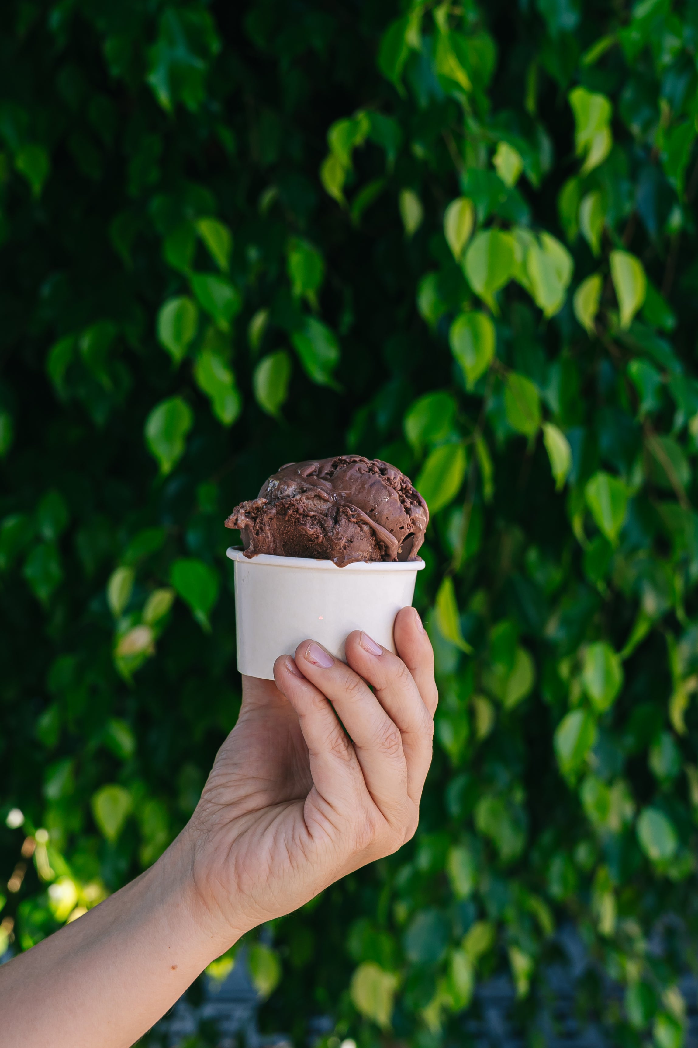 Gelato Cacao Naranja