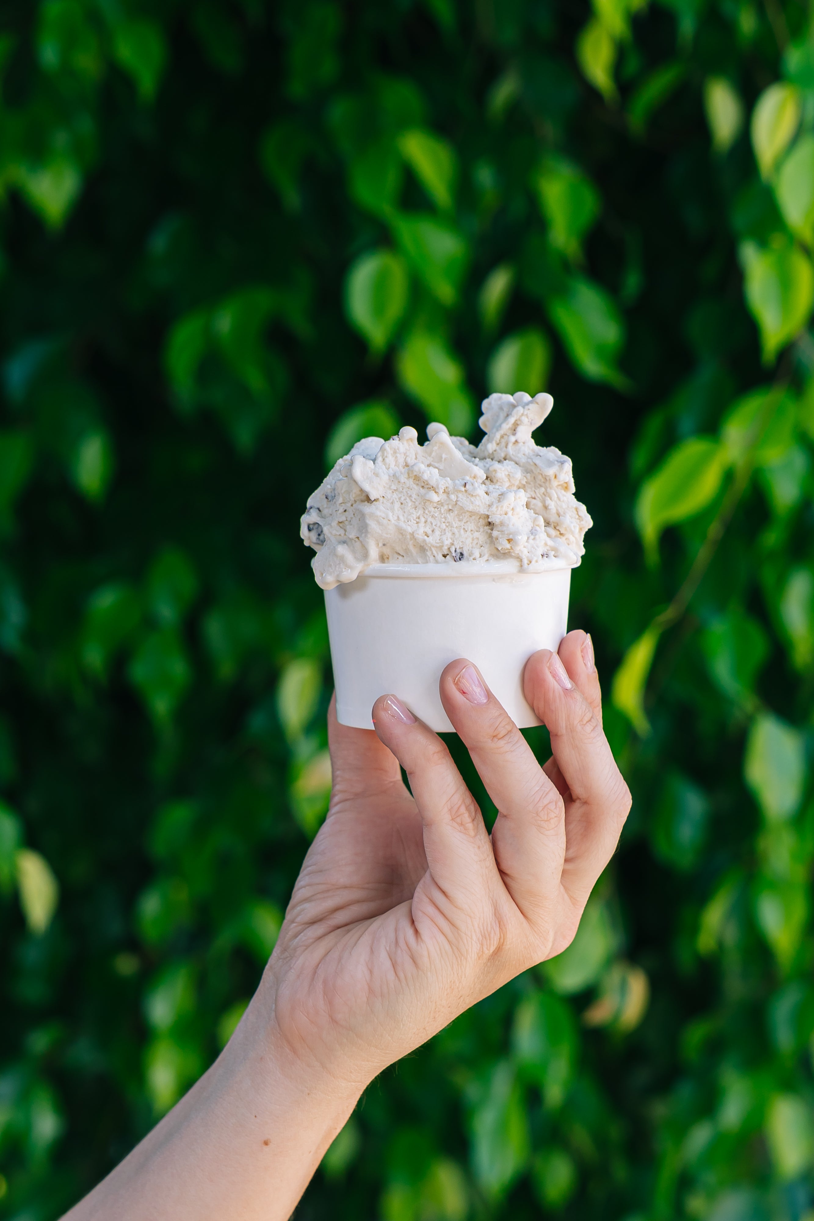 Gelato Dulce De Leche