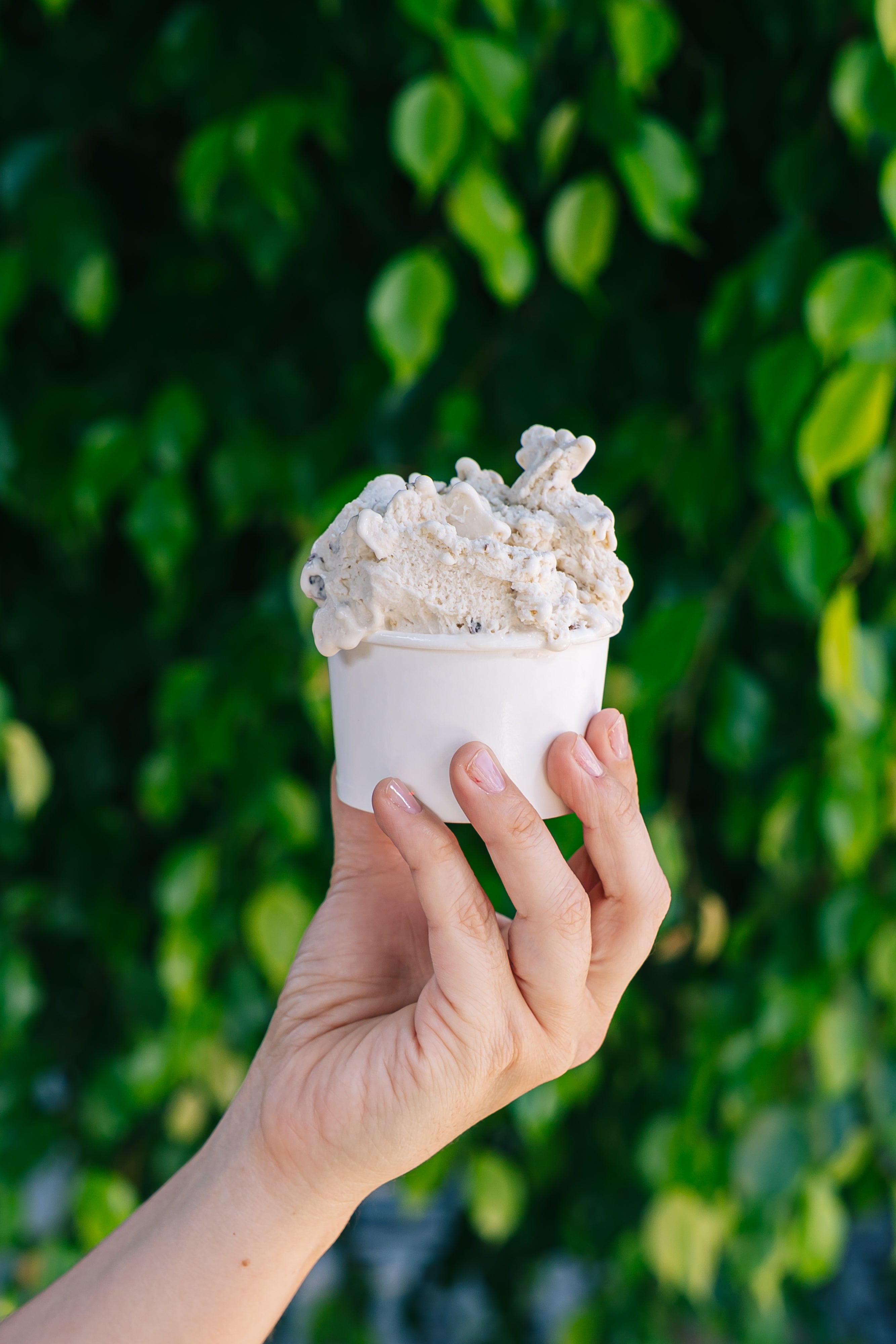 Gelato Chocolate Blanco y frambuesa