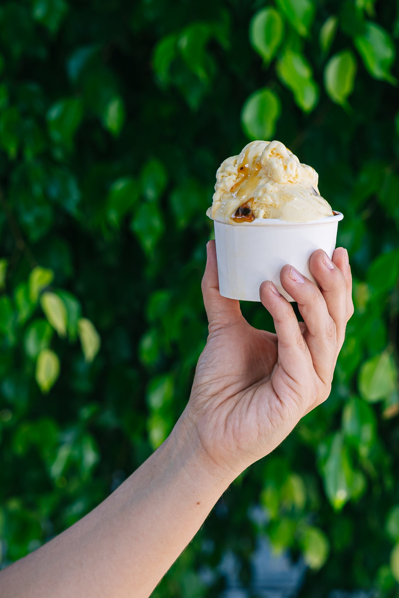 Gelato Cheesecake de Maracuyá