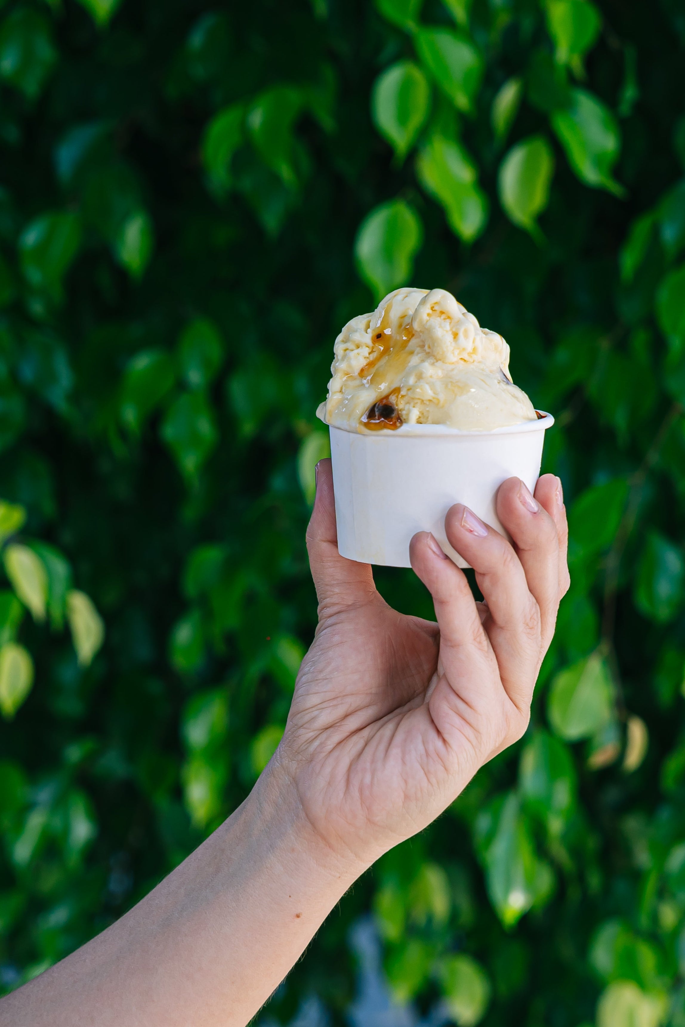 Gelato Maracuyá y leche condensada