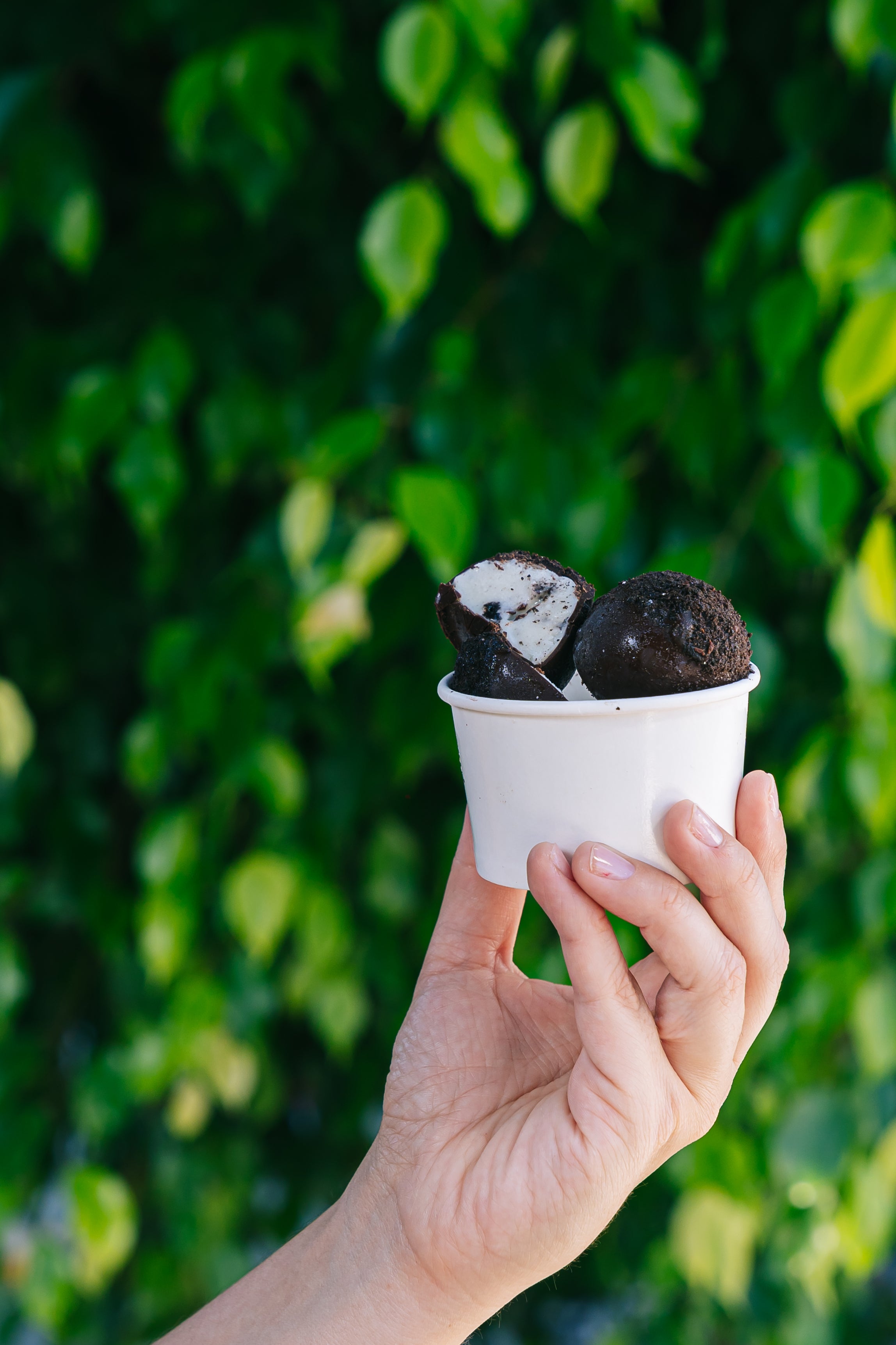 Bombón Coco