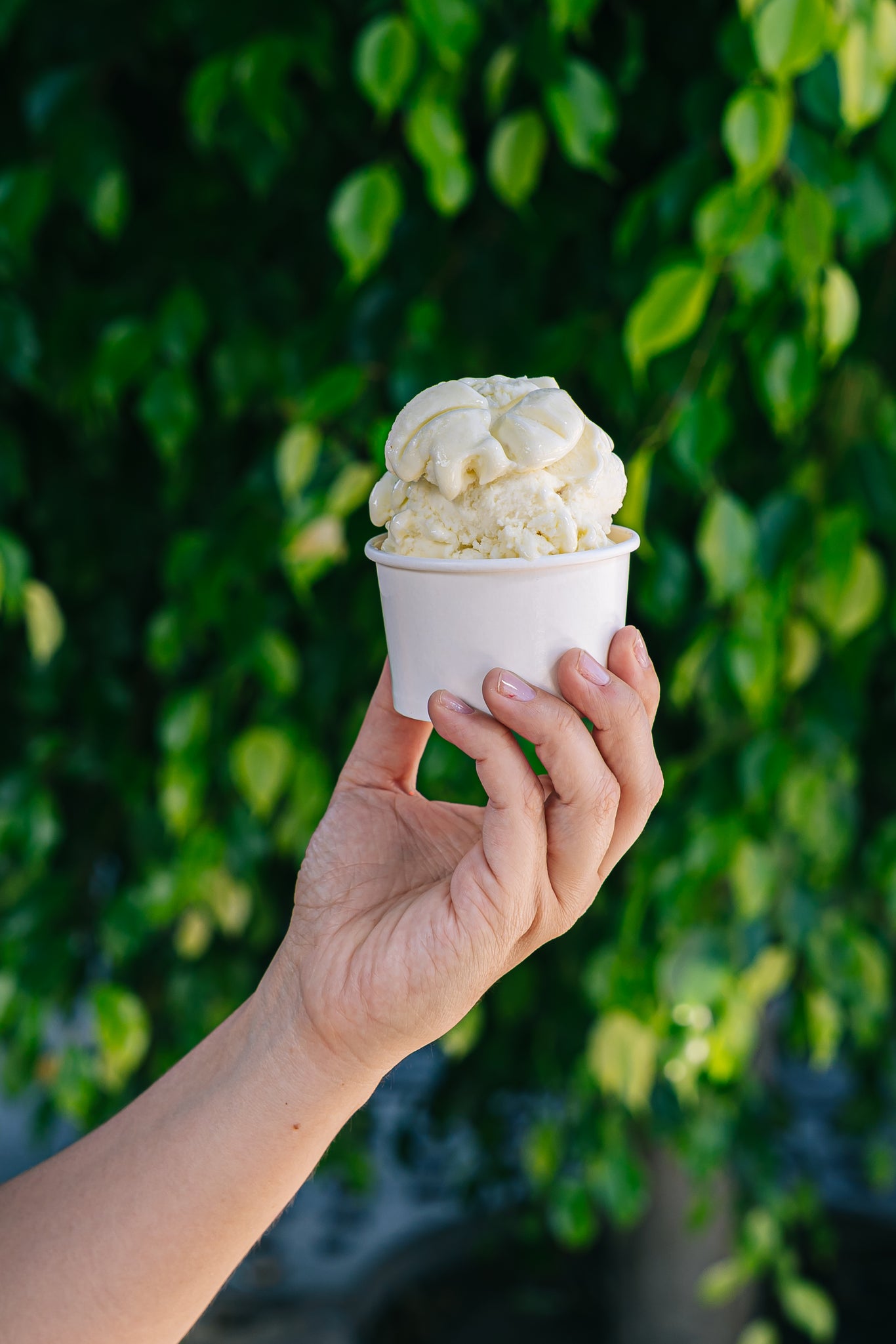 Gelato Banana Manjar