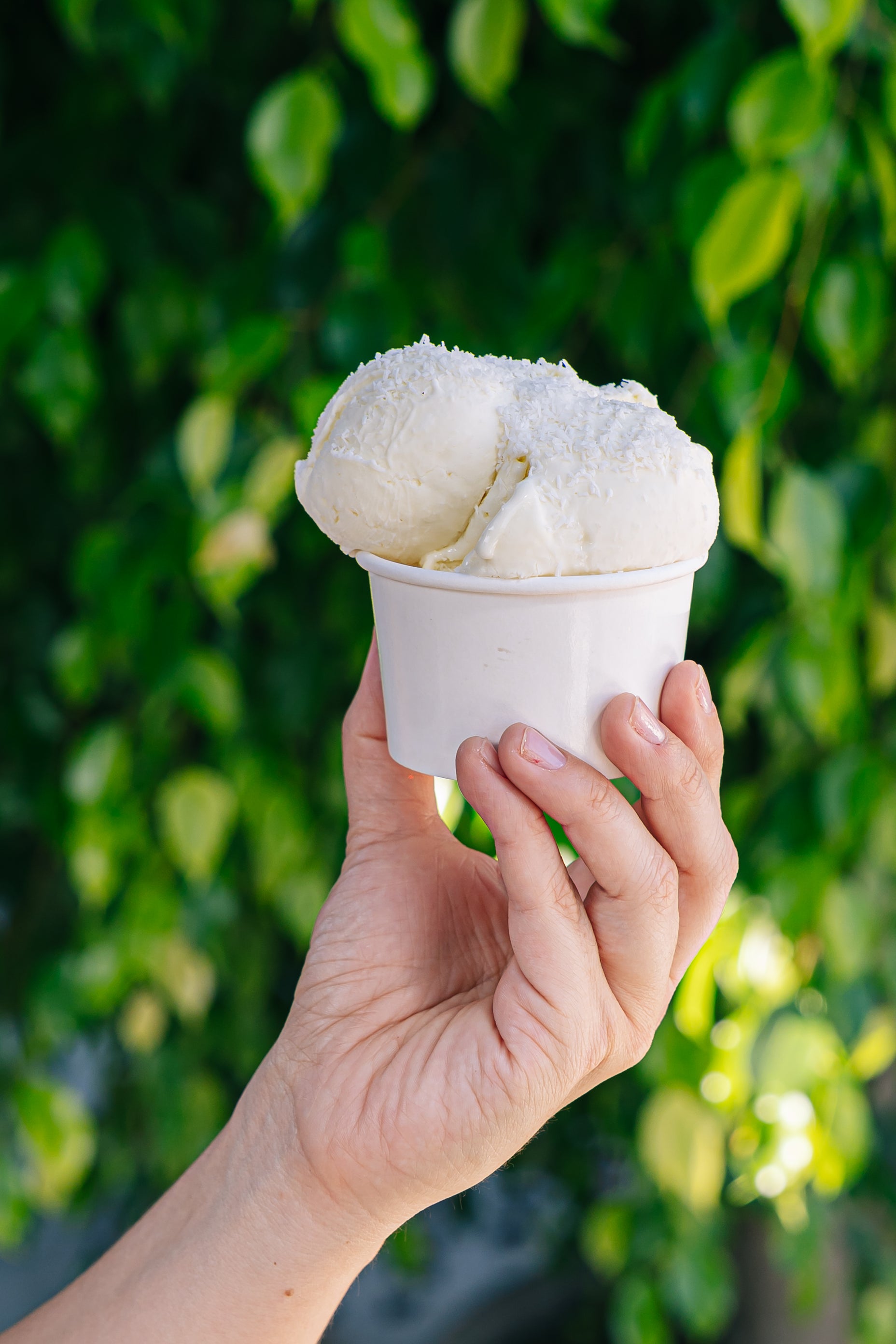 Gelato Coco Piña