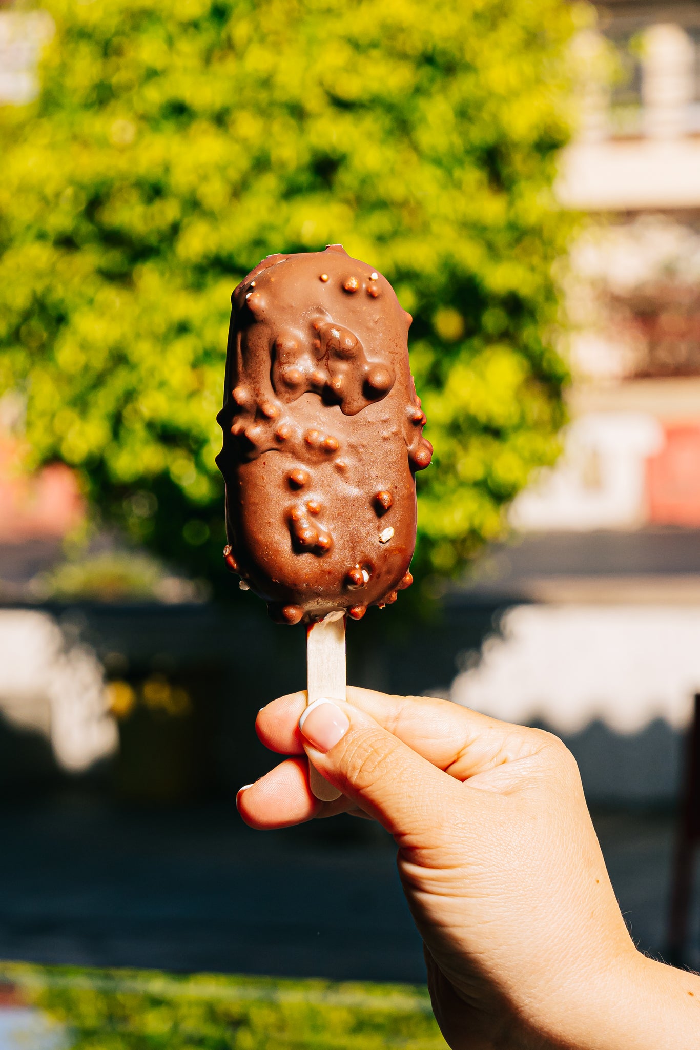 PALETA PREMIUM CACAO