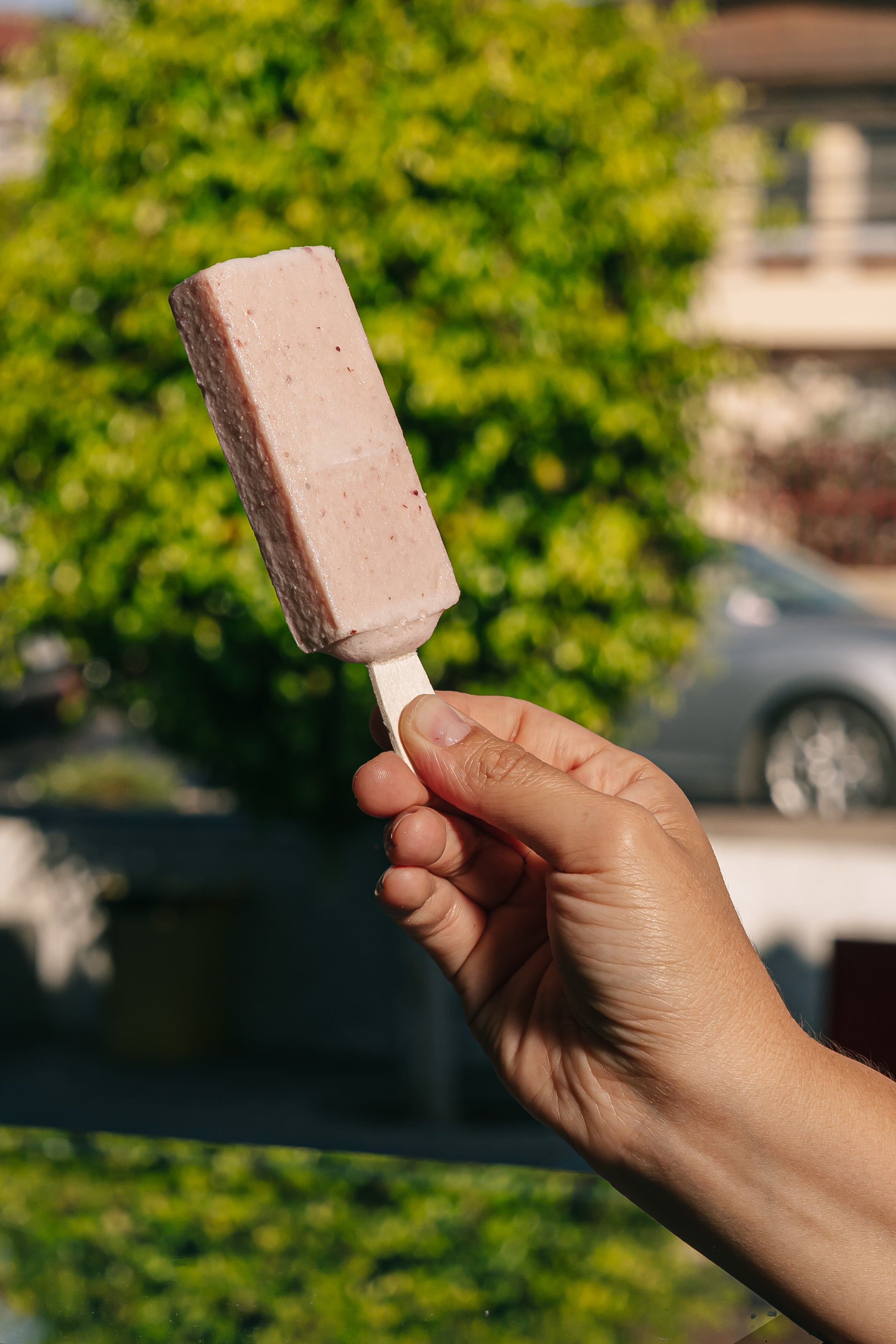 Paleta Frutilla coco