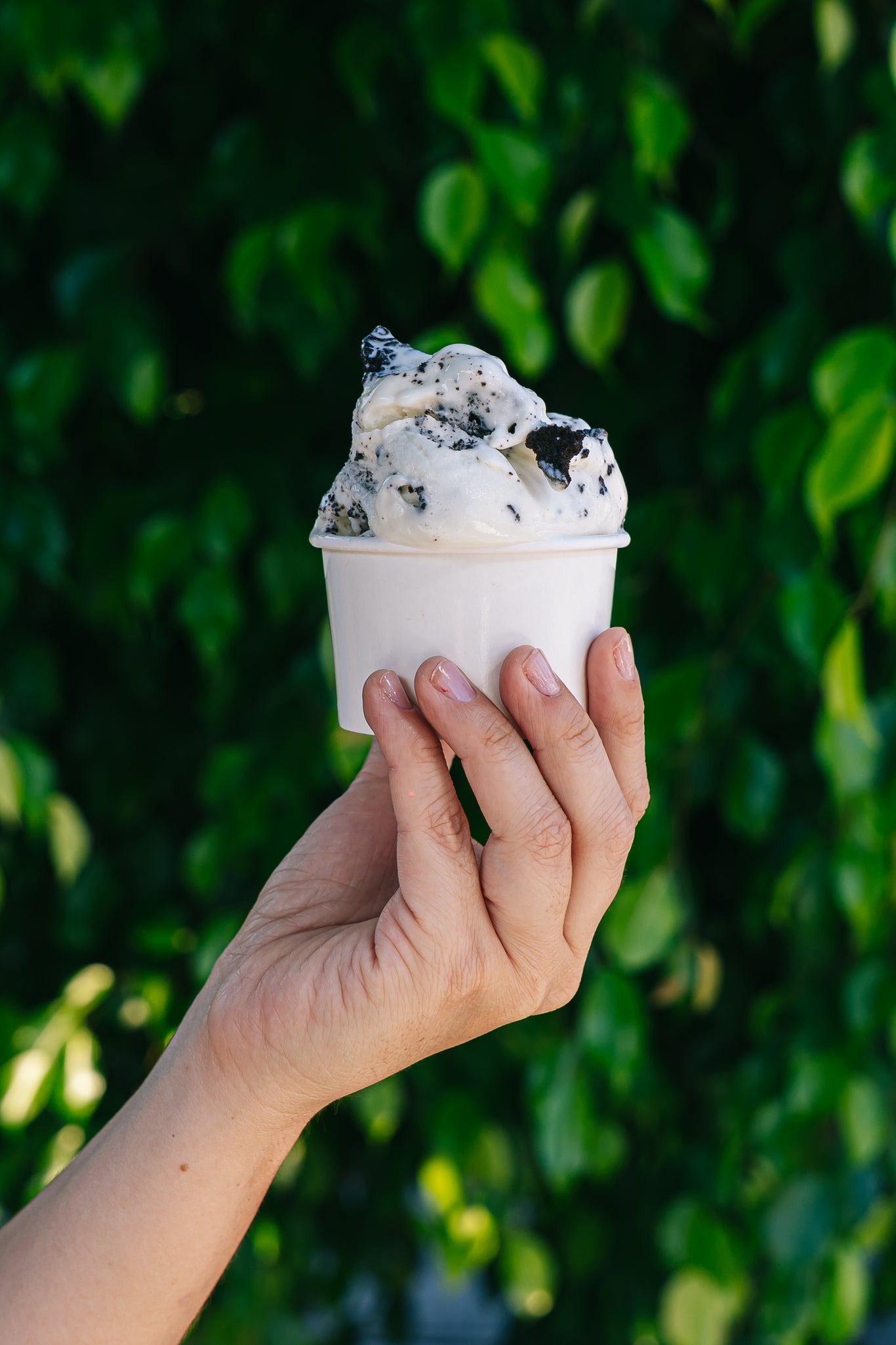 Gelato Cookies Black