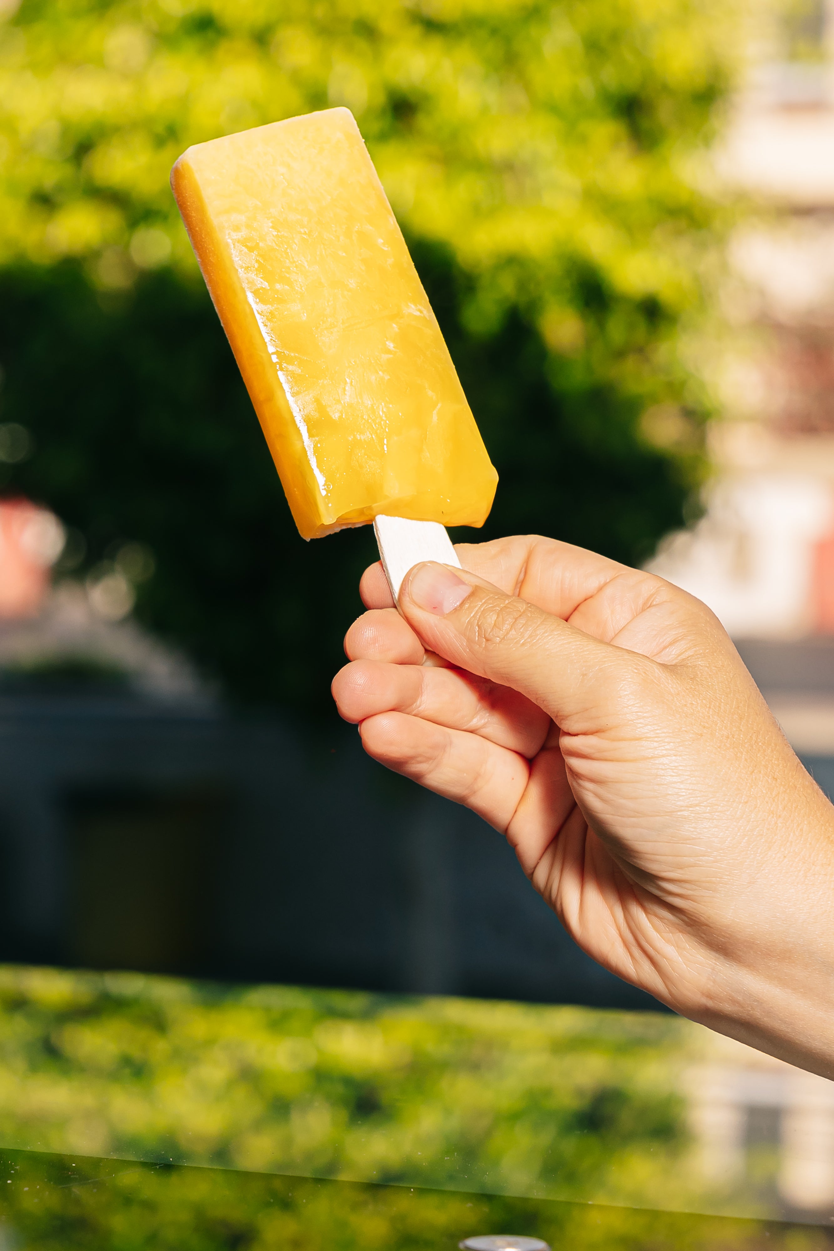 Paleta Piña