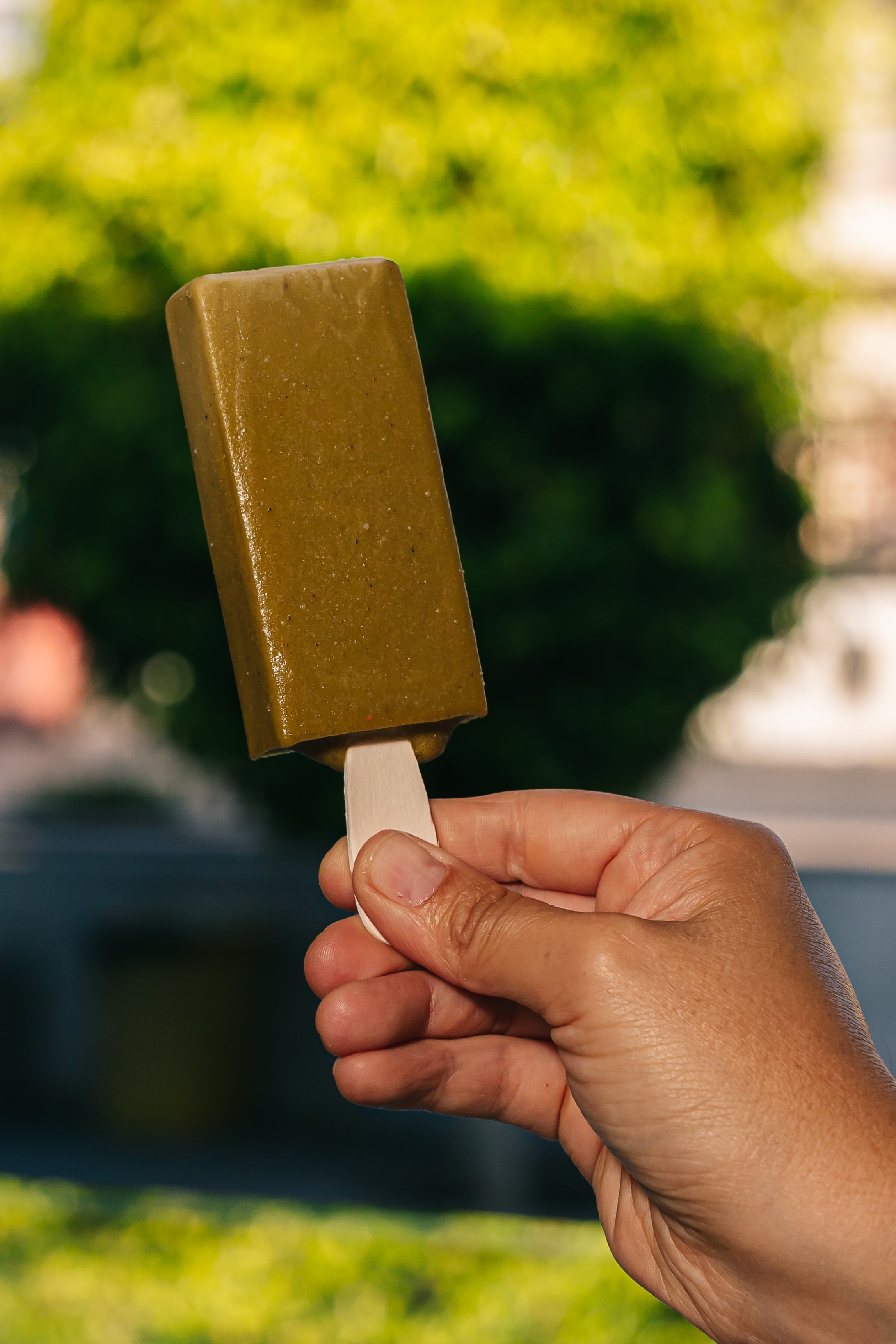 Paleta Pistacho