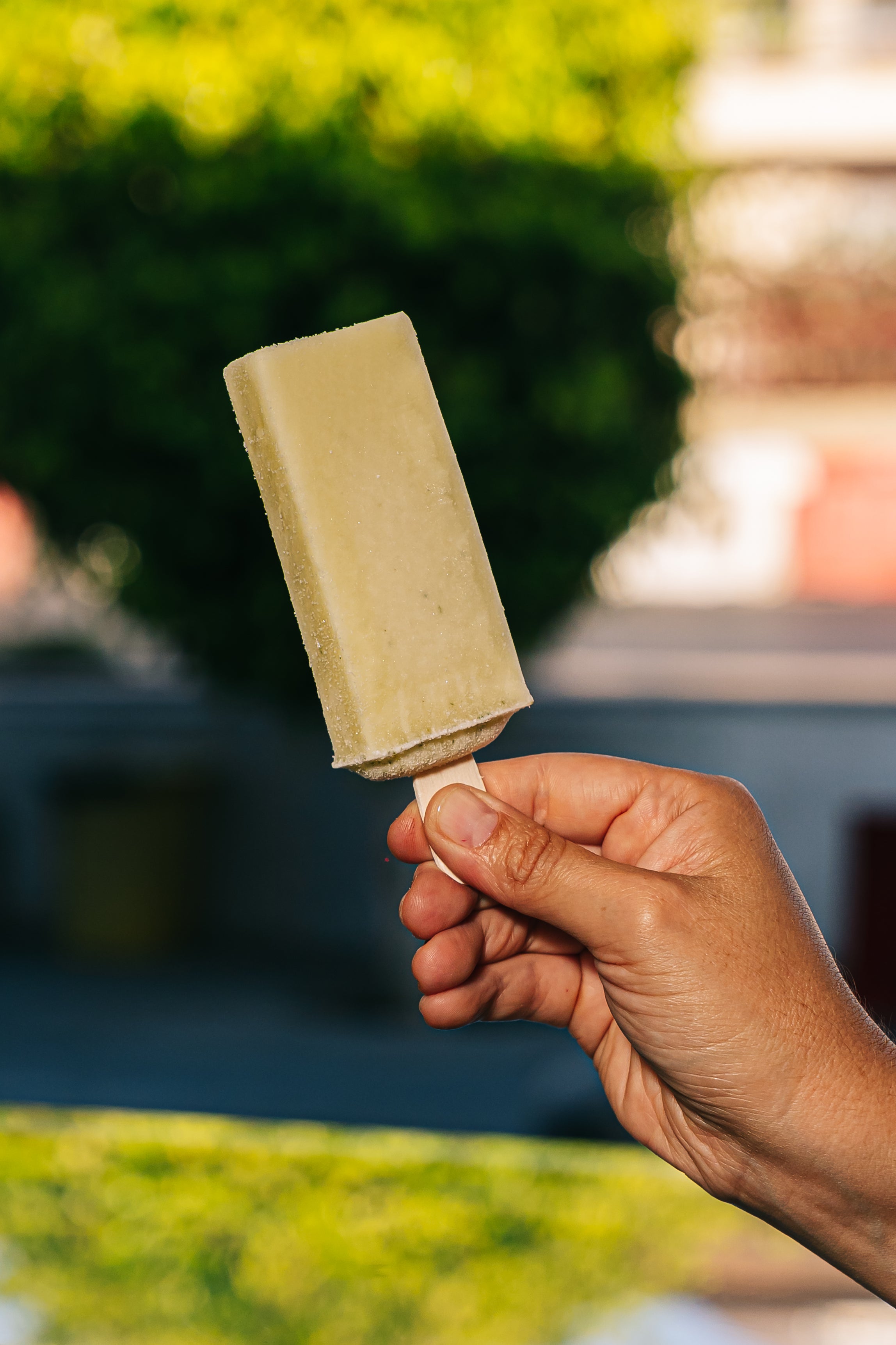 Paleta Dulce De Leche