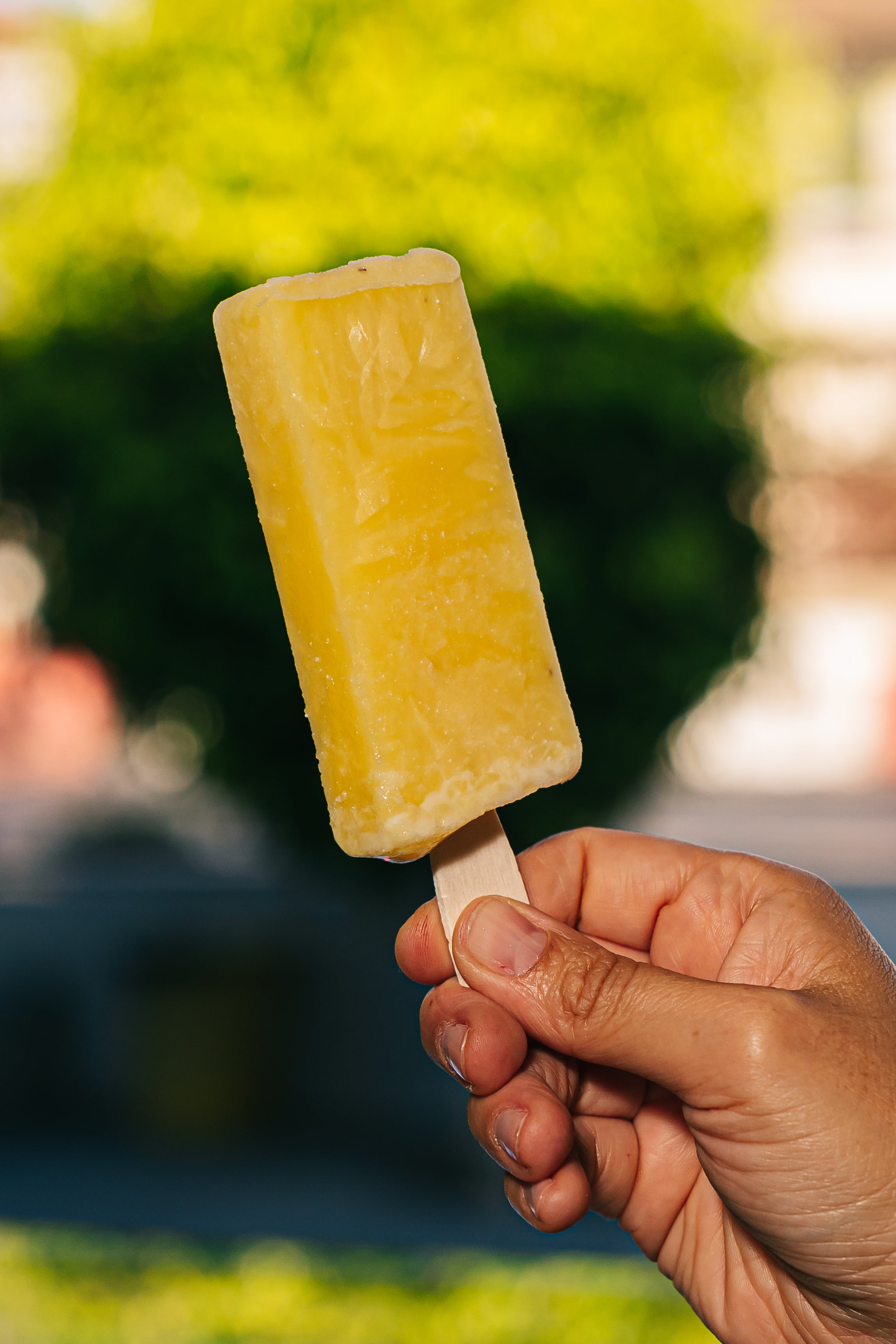 Paleta Maracuyá