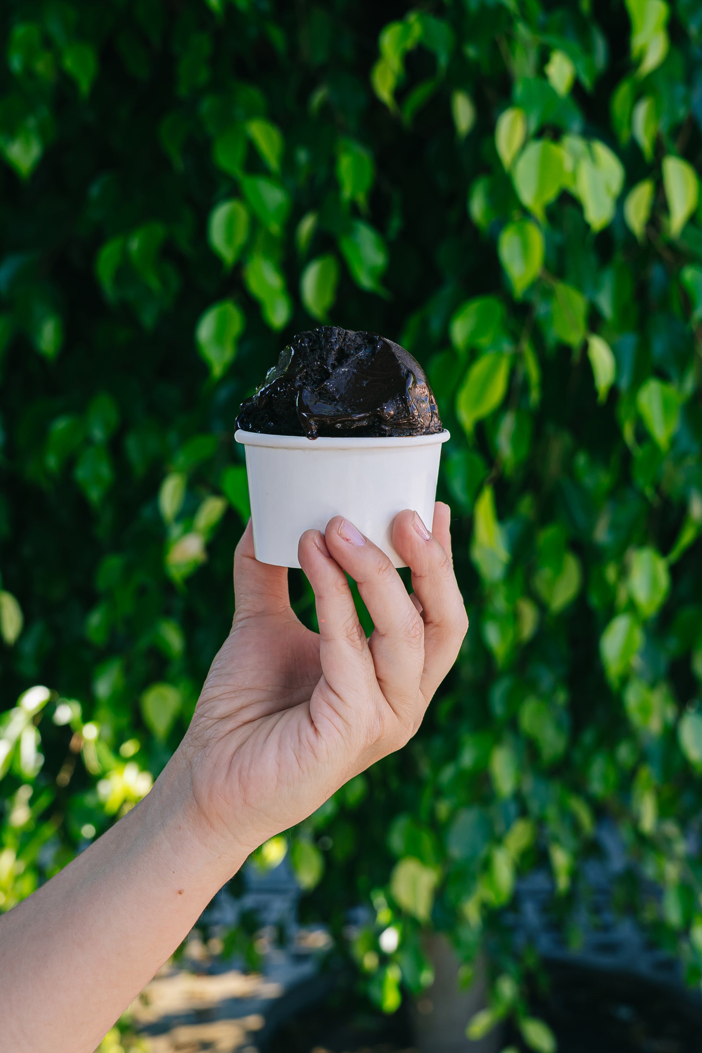 Gelato Cacao Oreo