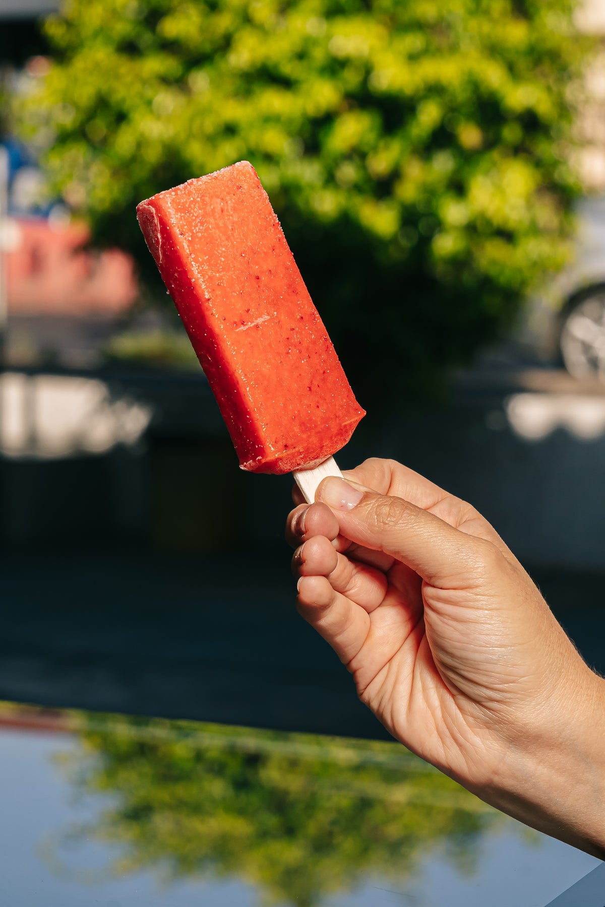 Paleta Frutilla Zero