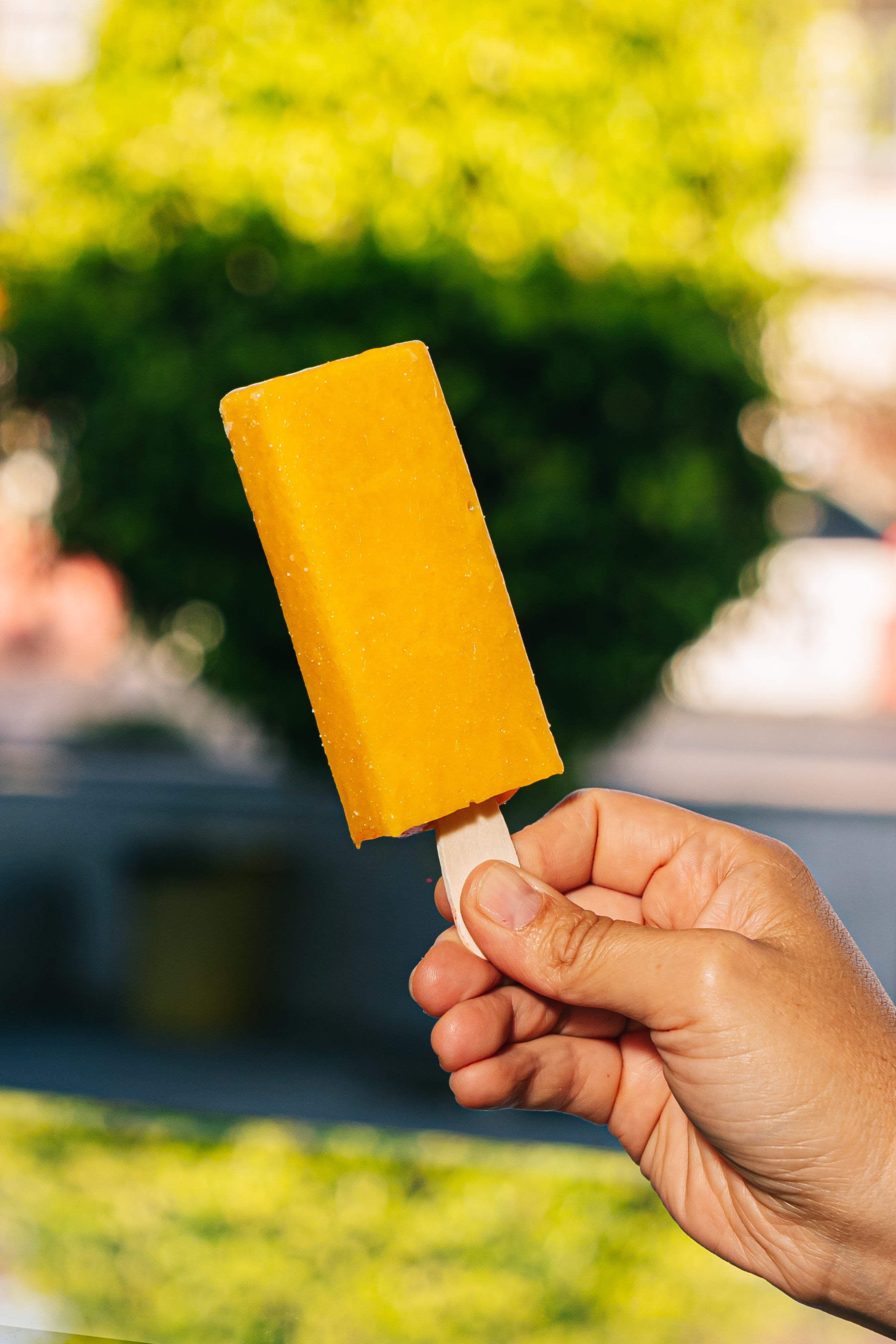 Paleta Mango Zero